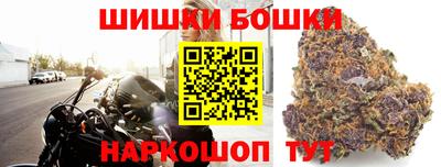 МДПВ Кингисепп