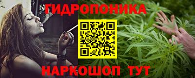 МДПВ Кингисепп