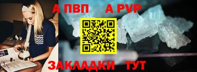 МДПВ Кингисепп