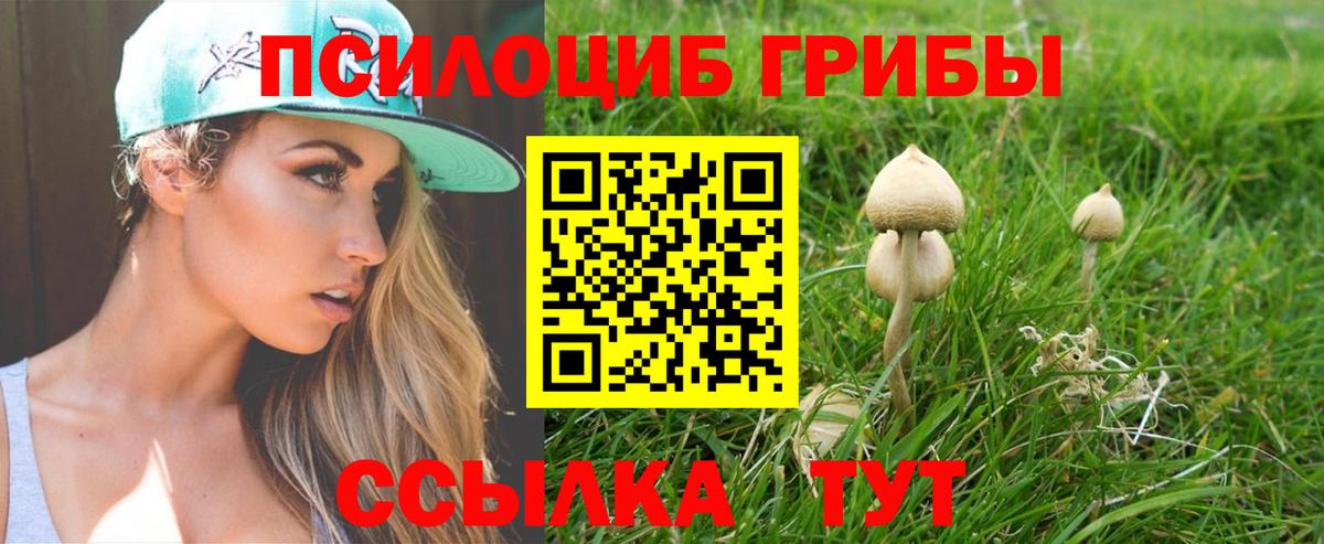 Псилоцибиновые грибы GOLDEN TEACHER Дзержинский